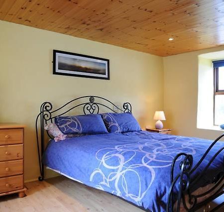 Griffins Holiday Cottage Dingle Kültér fotó