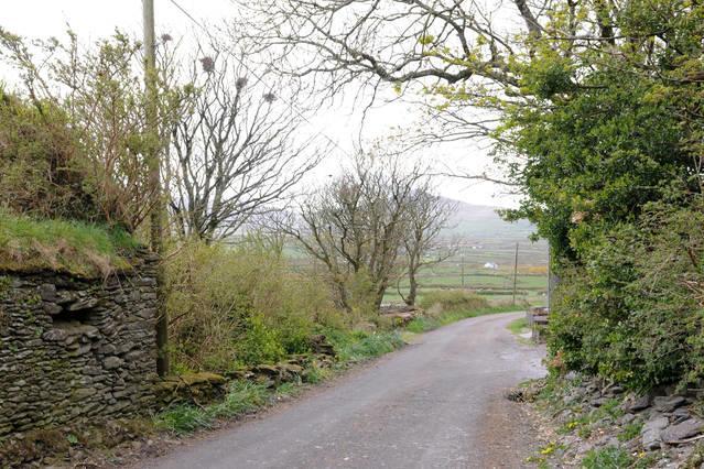 Griffins Holiday Cottage Dingle Kültér fotó